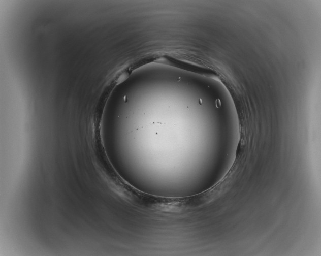 X0000116670120200912141348