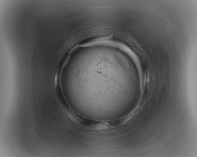 X0000116670124200912141348