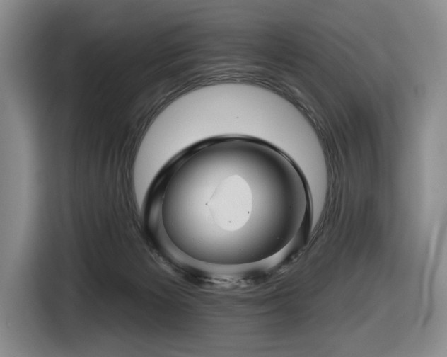 X0000116670125200912141348