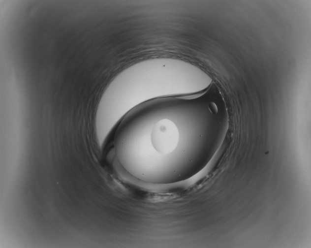 X0000116670129200912141348