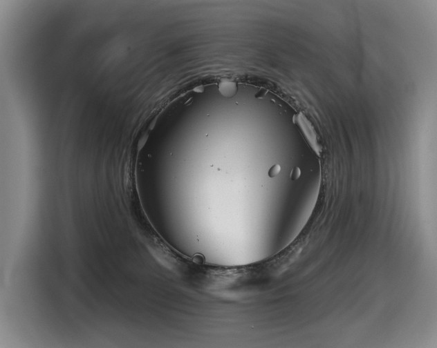 X0000116670131200912141348