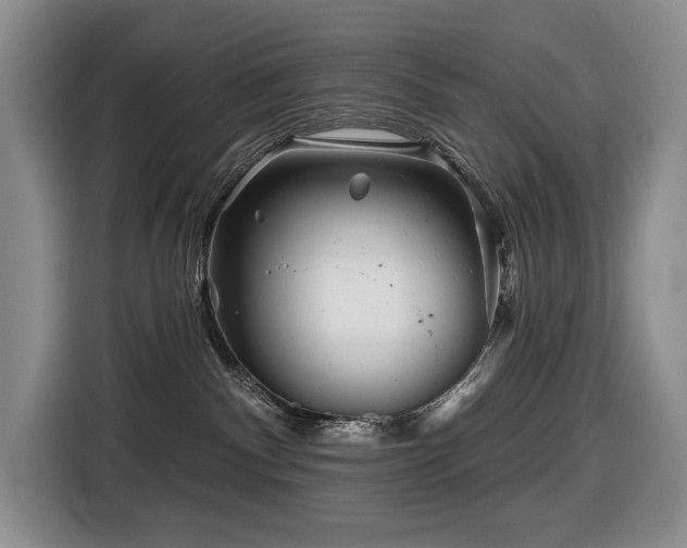 X0000116670140200912141348