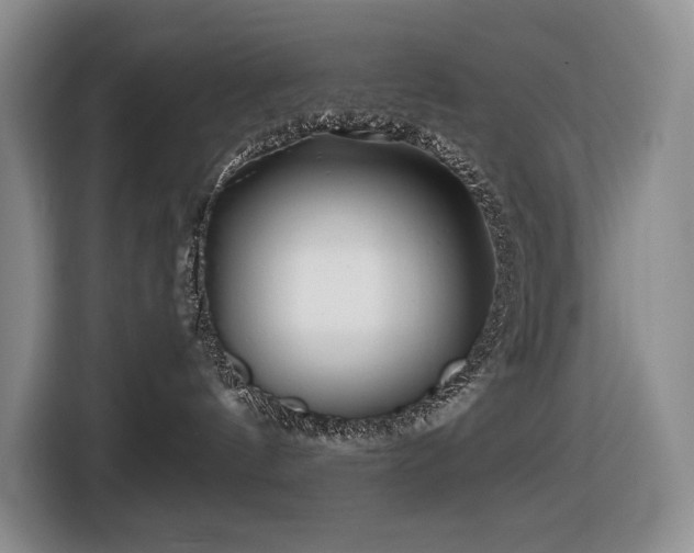 X0000116670144200912141348