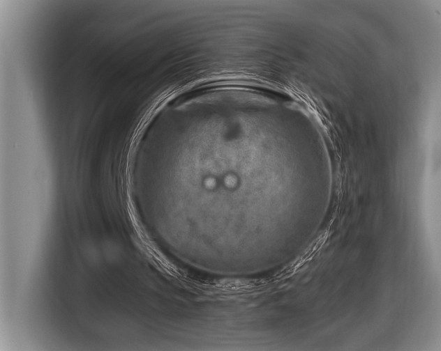 X0000116670145200912141347