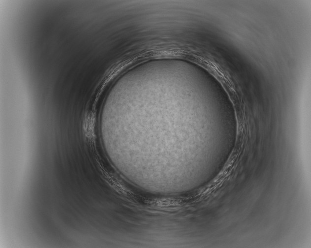 X0000116670146200912141347