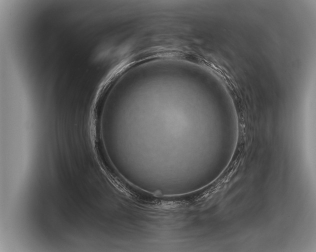 X0000116670149200912141347