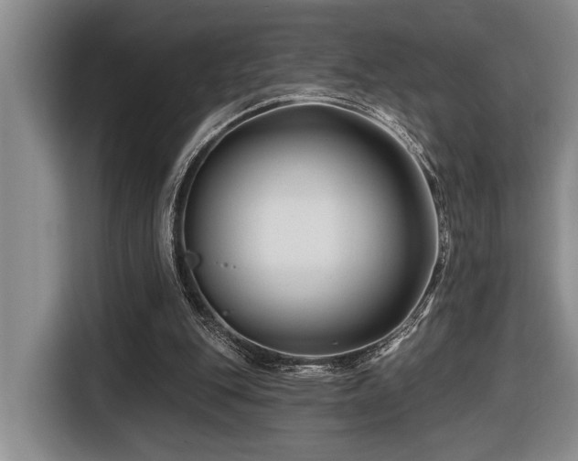 X0000116670151200912141347