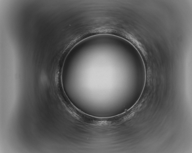 X0000116670153200912141347