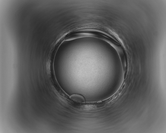 X0000116670154200912141347