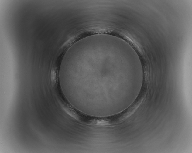 X0000116670165200912141347