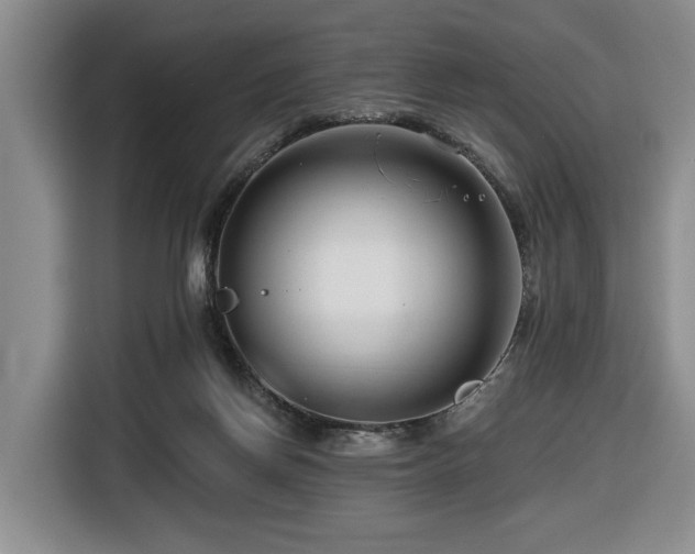 X0000116670166200912141347