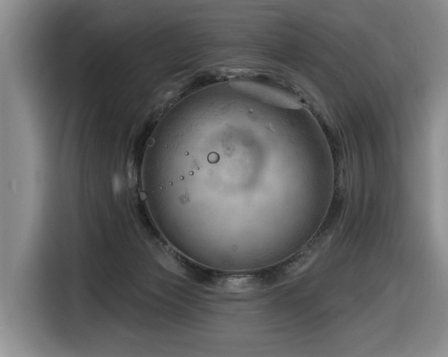 X0000116670173200912141348