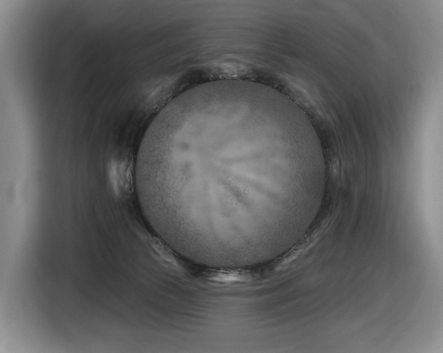 X0000116670177200912141348