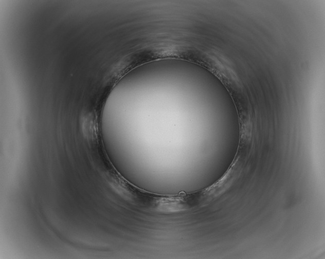 X0000116670179200912141348