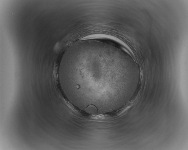 X0000116670181200912141348