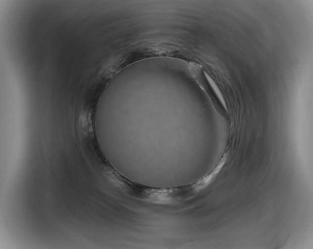 X0000116670182200912141348