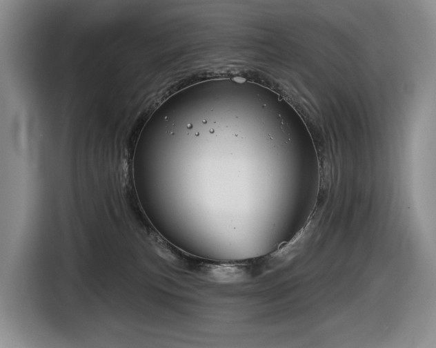 X0000116670183200912141348