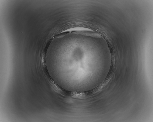 X0000116670185200912141348