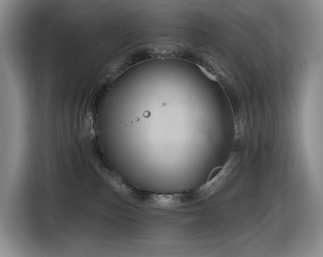 X0000116670187200912141348