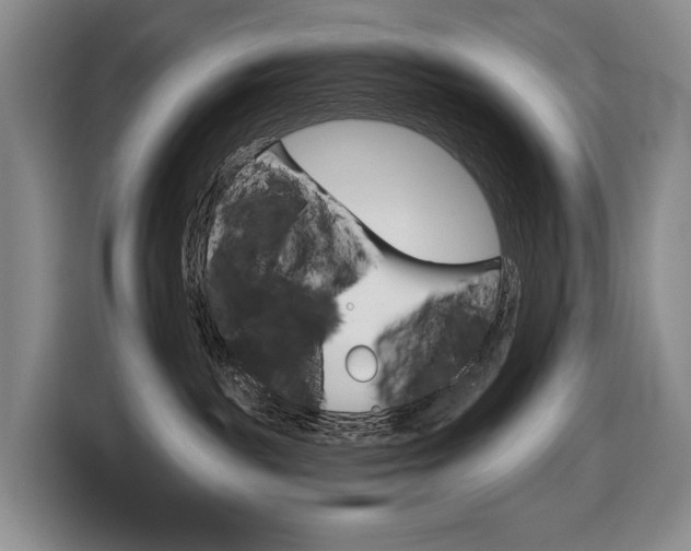 X0000116670189200912141348