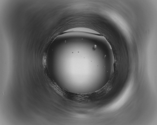 X0000116670190200912141348