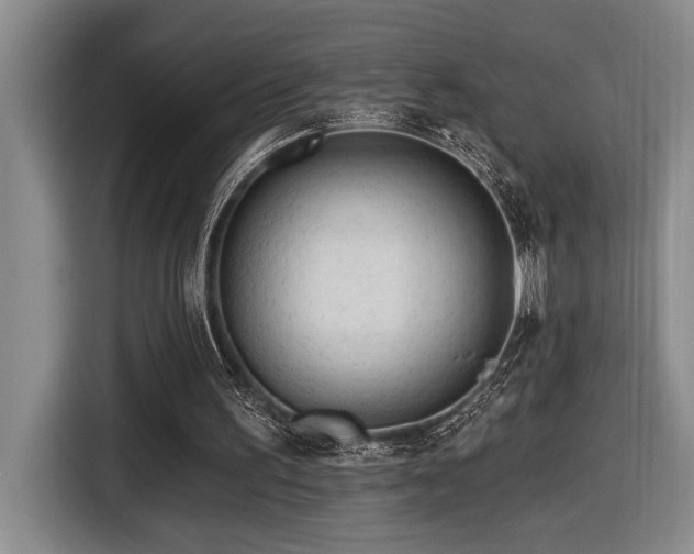 X0000116670195200912141347