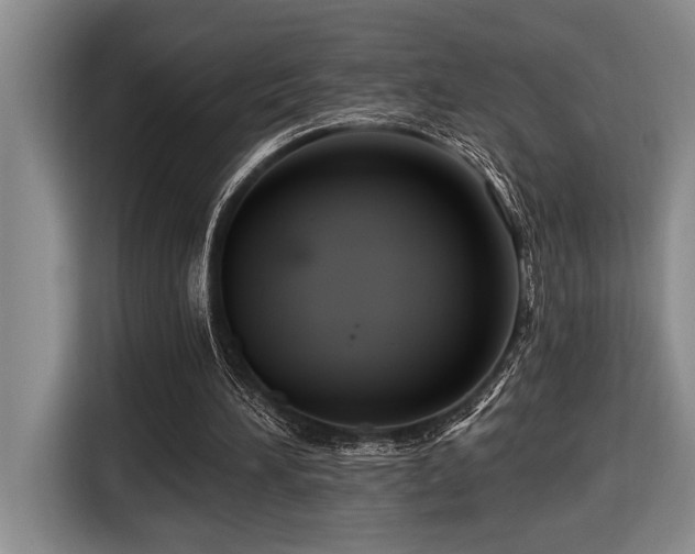 X0000116670196200912141347