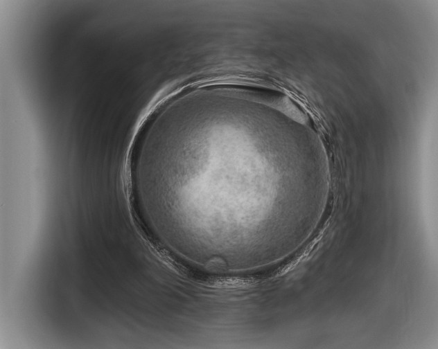 X0000116670198200912141347