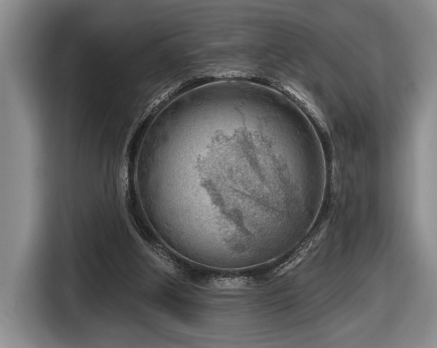 X0000116670202200912141347