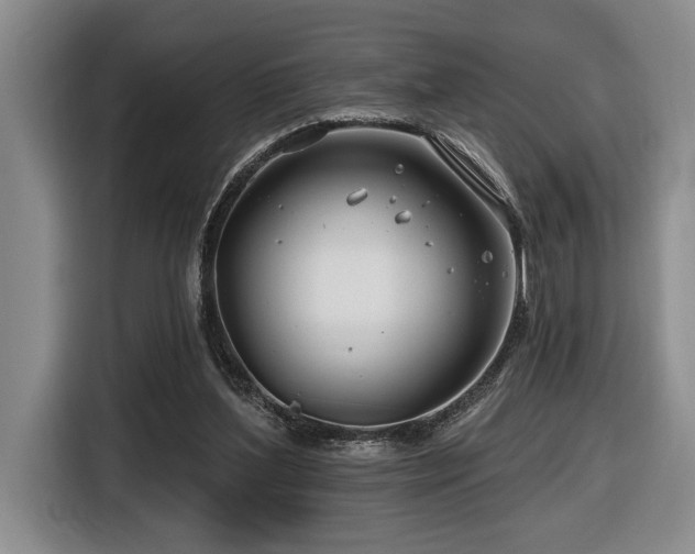 X0000116670204200912141347