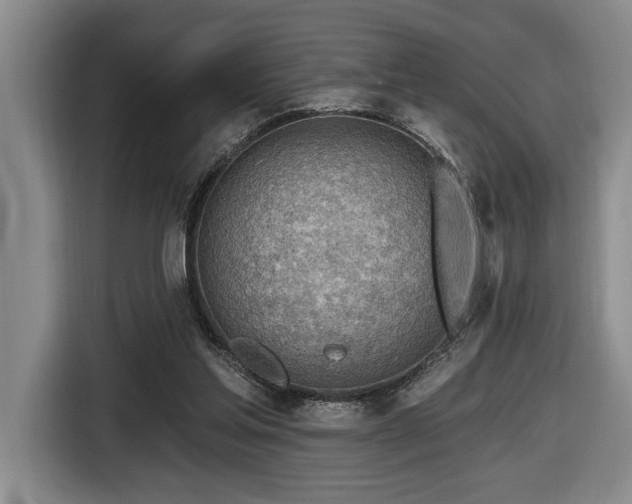 X0000116670205200912141347