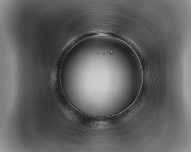 X0000116670208200912141347