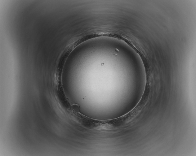 X0000116670210200912141347