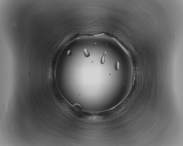 X0000116670212200912141347