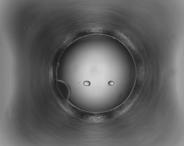 X0000116670213200912141347