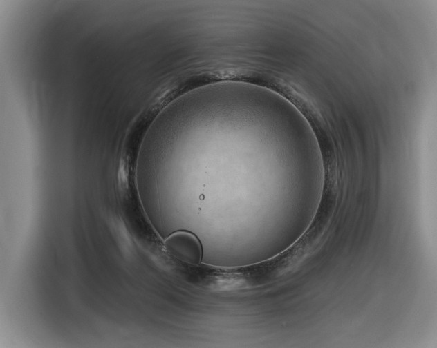 X0000116670214200912141347