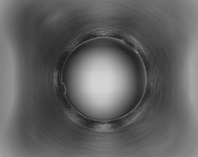 X0000116670217200912141347