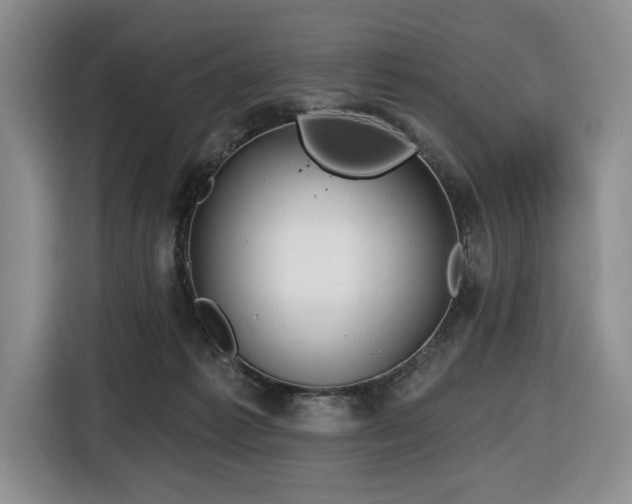 X0000116670221200912141347