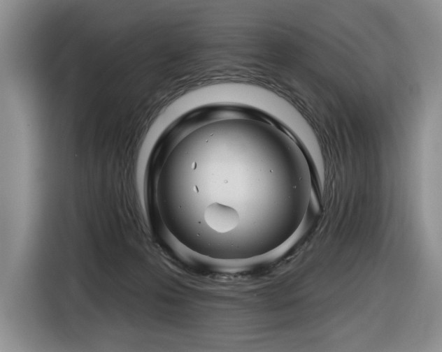 X0000116670223200912141347