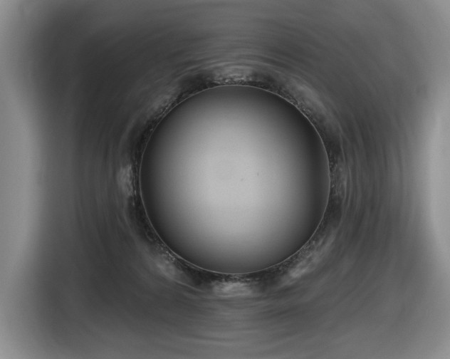 X0000116670224200912141347