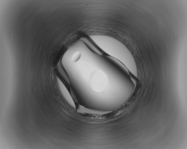 X0000116670225200912141347