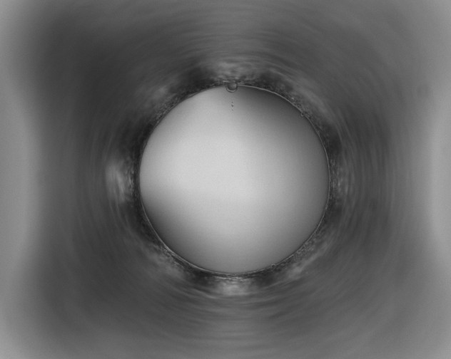 X0000116670226200912141347