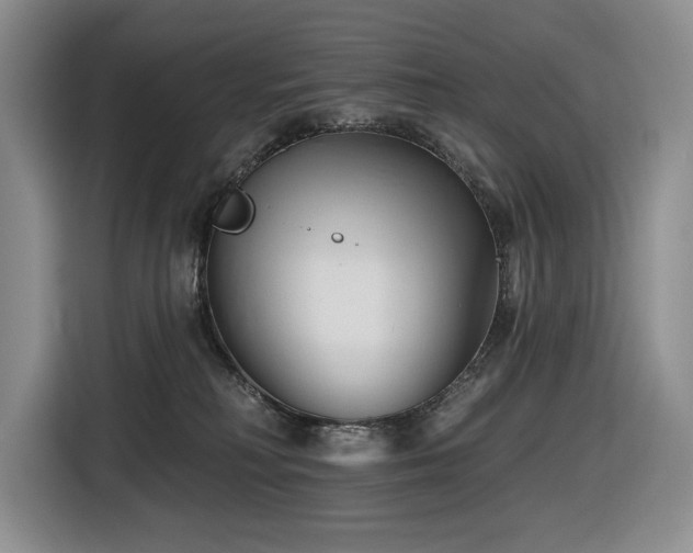 X0000116670230200912141347