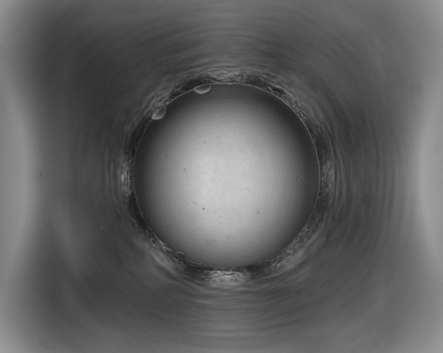 X0000116670234200912141347