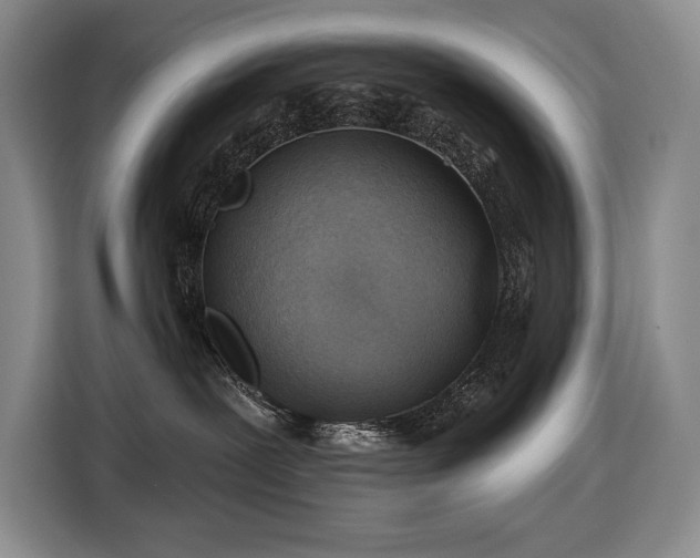 X0000116670239200912141347