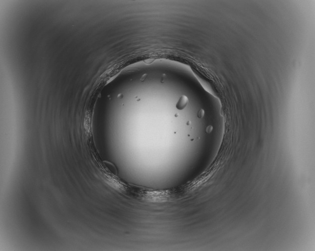 X0000116670240200912141347