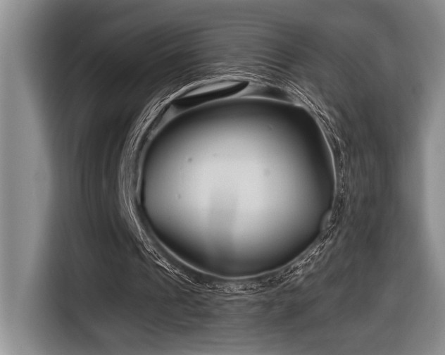 X0000116670241200912141346