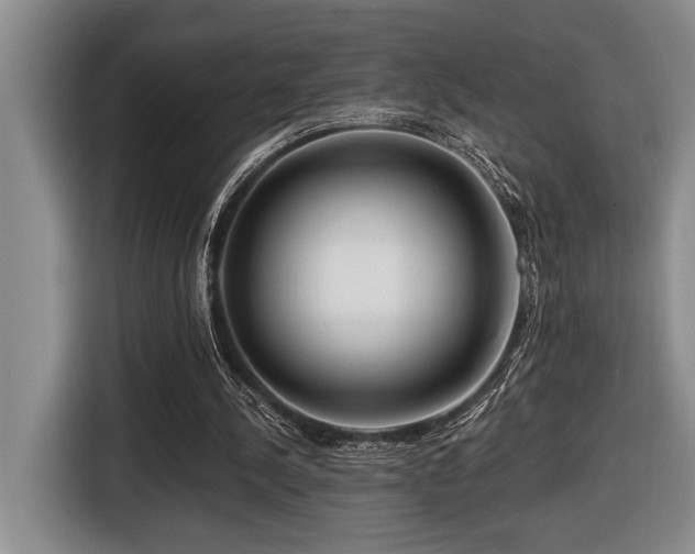 X0000116670244200912141346