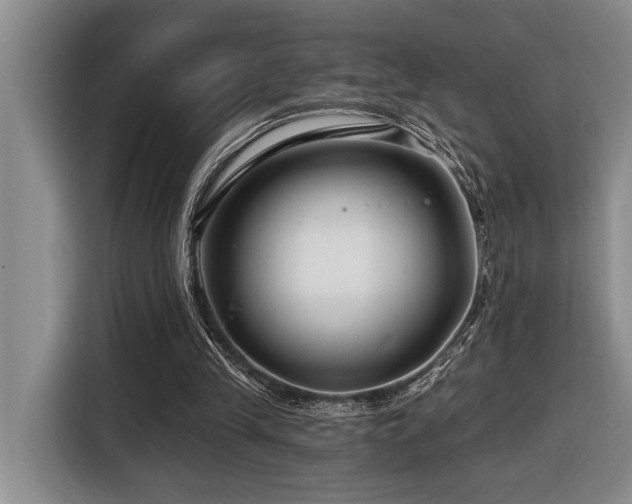 X0000116670245200912141346