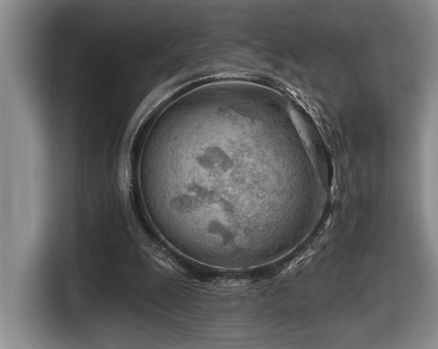 X0000116670247200912141346